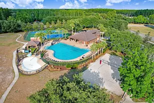 3915 Duke Firth St, Land O Lakes, FL 34638 - Photo 43