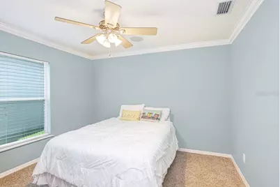3915 Duke Firth Street, Land O Lakes, FL 34638 - Photo 27