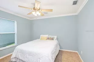 3915 Duke Firth St, Land O Lakes, FL 34638 - Photo 27
