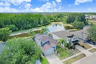 3915 Duke Firth St, Land O Lakes, FL 34638 - Photo 33