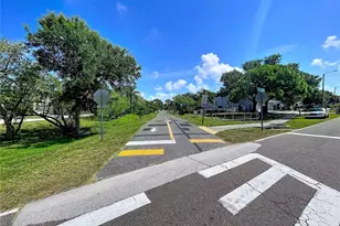 105 Peterson Ln, Palm Harbor, FL 34683 - Photo 47