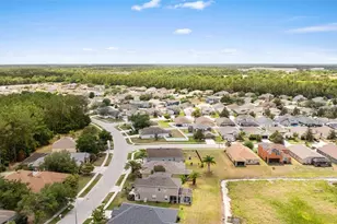 7619 Crescent Palm Dr, Wesley Chapel, FL 33545 - Photo 45