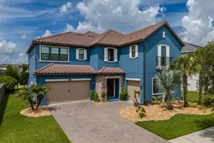 29527 Picana Ln, Wesley Chapel, FL 33543 - Photo 63
