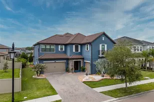 29527 Picana Ln, Wesley Chapel, FL 33543 - Photo 63
