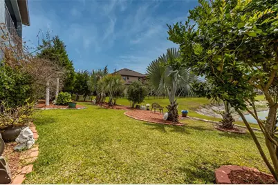 29527 Picana Lane, Wesley Chapel, FL 33543 - Photo 61