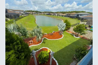 29527 Picana Lane, Wesley Chapel, FL 33543 - Photo 59