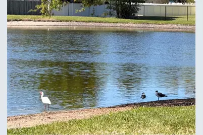 3815 N Oak Drive #G71, Tampa, FL 33611 - Photo 41
