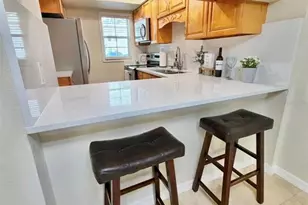3815 N Oak Dr, Tampa, FL 33611 - Photo 19