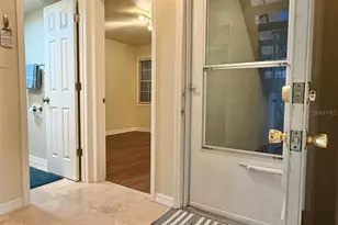 3815 N Oak Dr, Tampa, FL 33611 - Photo 5