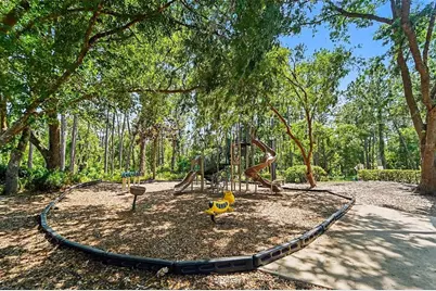 19717 Wyndham Lakes Drive, Odessa, FL 33556 - Photo 27