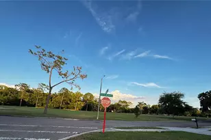 309 Belle Claire Pl, Temple Terrace, FL 33617 - Photo 37
