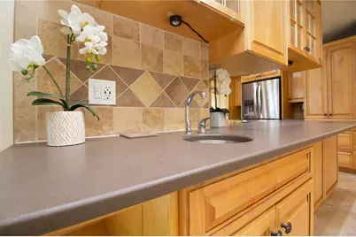 1656 Brae Moor Lane, Dunedin, FL 34698 - Photo 15