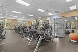 10536 Coral Key Ave, Tampa, FL 33647 - Photo 71