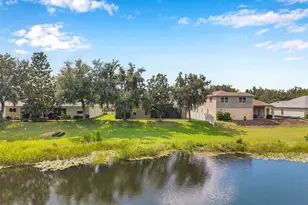 4812 Walnut Ridge Rd, Land O Lakes, FL 34638 - Photo 57
