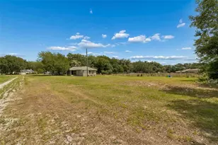 2413 Ed Brown Ln, Plant City, FL 33567 - Photo 29