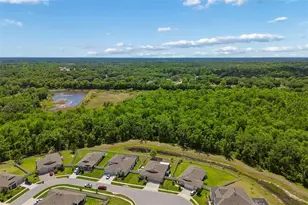 18078 Romanesque Ct, Spring Hill, FL 34610 - Photo 87