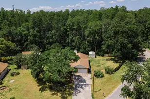 21823 Shamu Dr, Land O Lakes, FL 34639 - Photo 47