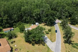 21823 Shamu Dr, Land O Lakes, FL 34639 - Photo 49