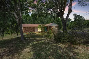 21823 Shamu Dr, Land O Lakes, FL 34639 - Photo 1