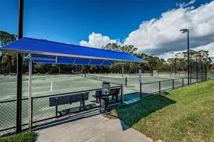 2272 Warwick Dr, Oldsmar, FL 34677 - Photo 45