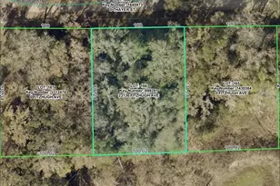 23136 Fitzhugh Ave, Brooksville, FL 34601 - Photo 1