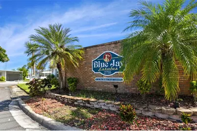 133 Cedar Drive, Palm Harbor, FL 34684 - Photo 33