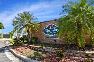133 Cedar Dr, Palm Harbor, FL 34684 - Photo 33