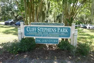 2812 Dovewood St, Clearwater, FL 33759 - Photo 23