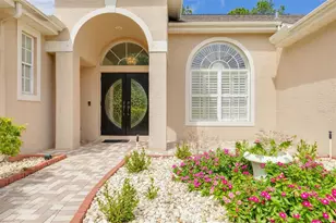 3713 Siena Ln, Palm Harbor, FL 34685 - Photo 3