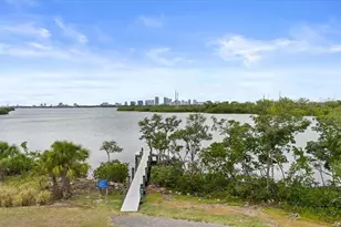 4405 Tuscan Loon Dr, Tampa, FL 33619 - Photo 23