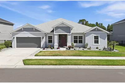 33805 Castaway Loop, Wesley Chapel, FL 33543 - Photo 1