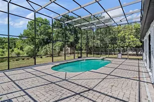 3304 Moran Rd, Tampa, FL 33618 - Photo 41