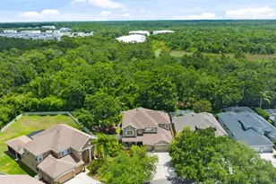 11615 Renaissance View Ct, Tampa, FL 33626 - Photo 53