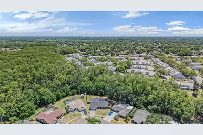 4218 Summerdale Drive, Tampa, FL 33624 - Photo 47