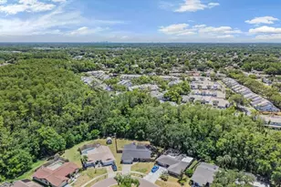 4218 Summerdale Dr, Tampa, FL 33624 - Photo 47