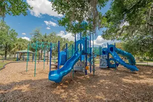 11321 Scribner Station Ln, Lithia, FL 33547 - Photo 63
