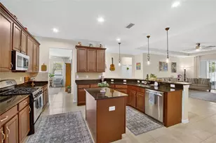 11321 Scribner Station Ln, Lithia, FL 33547 - Photo 23