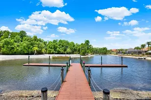 18019 Java Isle Dr, Tampa, FL 33647 - Photo 65