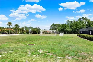 18019 Java Isle Dr, Tampa, FL 33647 - Photo 59