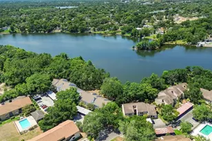 7863 Niagara Ave, Tampa, FL 33617 - Photo 41