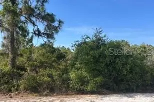 713 (Blk 123 Lots 15&16) Camellia Dr, Indian Lake Estates, FL 33855 - Photo 1