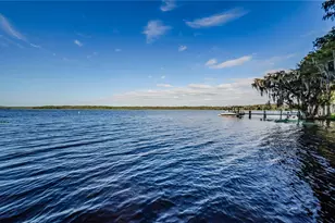 3248 Hilary Cir, Palm Harbor, FL 34684 - Photo 55