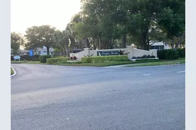 1013 Lake Avoca Court, Tarpon Springs, FL 34689 - Photo 29
