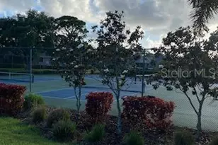 1013 Lake Avoca Ct, Tarpon Springs, FL 34689 - Photo 27