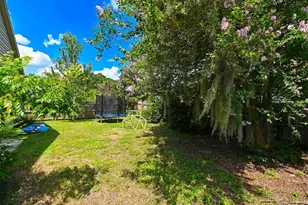 4517 Wild Plum Ln, Lutz, FL 33558 - Photo 37
