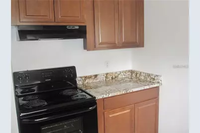 3302 W Wallace Avenue, Tampa, FL 33611 - Photo 5