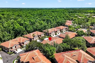 4927 Anniston Cir, Tampa, FL 33647 - Photo 57