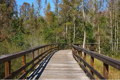 9707 Wild Begonia Loop, Land O Lakes, FL 34637 - Photo 69