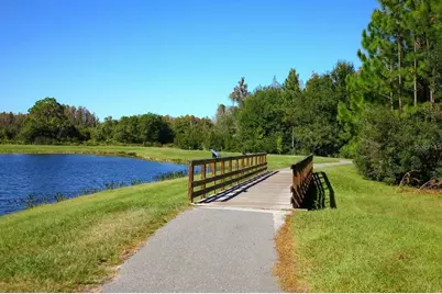 9707 Wild Begonia Loop, Land O Lakes, FL 34637 - Photo 67