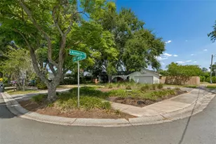 13338 Lake George Ln, Tampa, FL 33618 - Photo 47